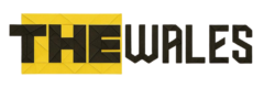 thewalesgear.com